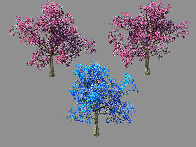 Moon Temple - Cherry Blossom Tree 01 3D model