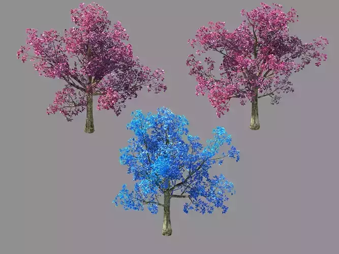 Moon Temple - Cherry Blossom Tree 01