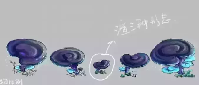 Yunmengze - Ganoderma lucidum 21 3D model