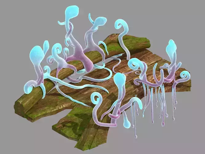 Yunmengze - Wooden Bridge 35