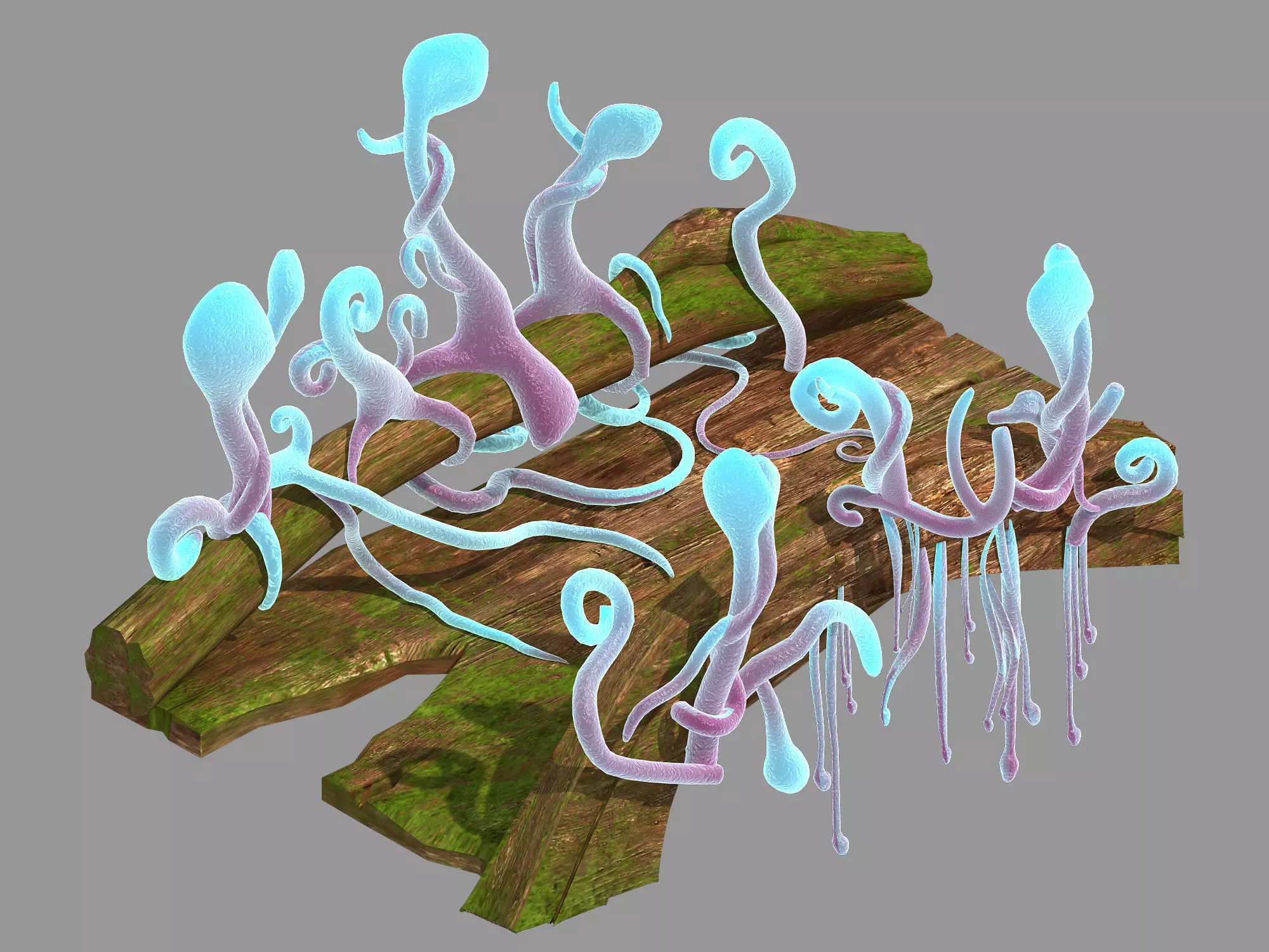 Yunmengze - Wooden Bridge 35 3D model_0