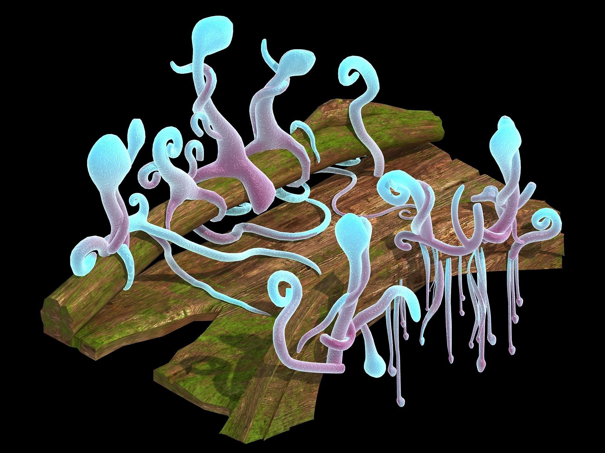 Yunmengze - Wooden Bridge 35 3D model_1