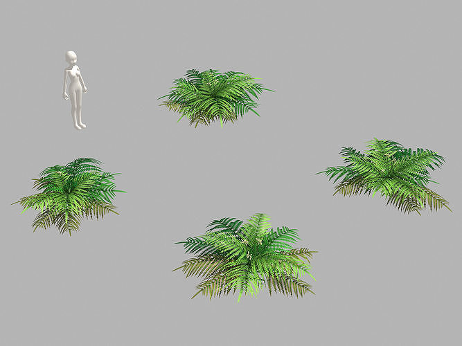 Weeds - Grass 55 3D model