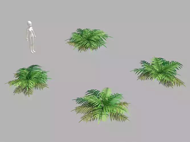 Weeds - Grass 55 3D model