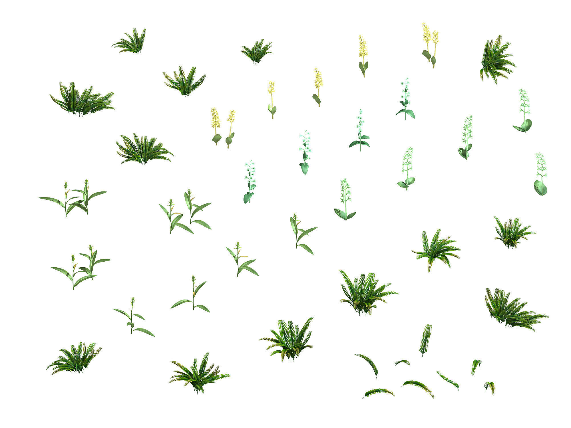 Miscellaneous Flowers - Weed 069 3D model_1
