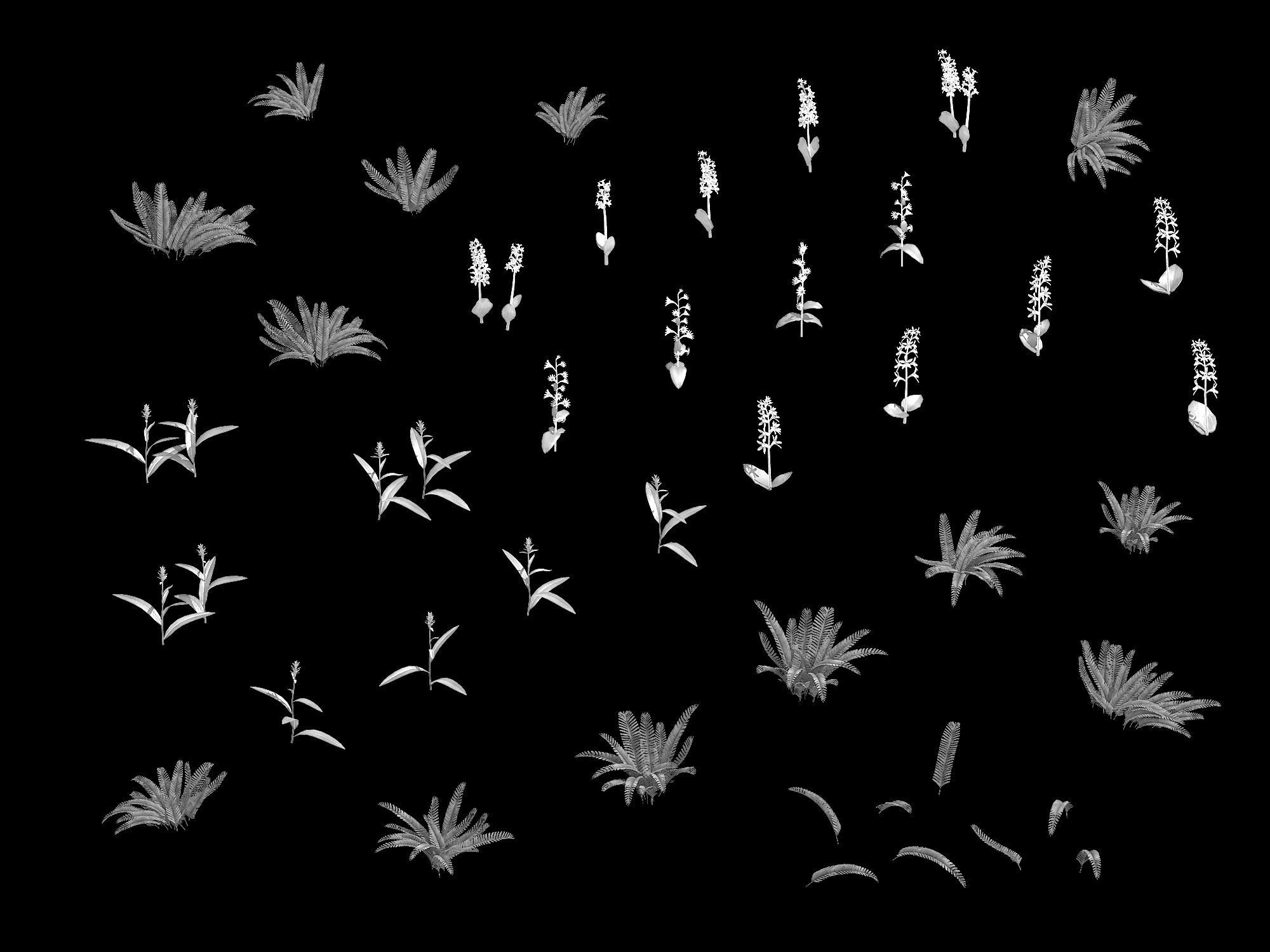 Miscellaneous Flowers - Weed 069 3D model_2