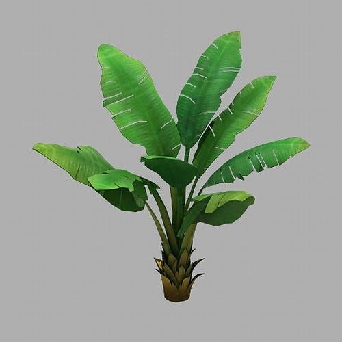 Plant - Plantain Tree 067 3D model