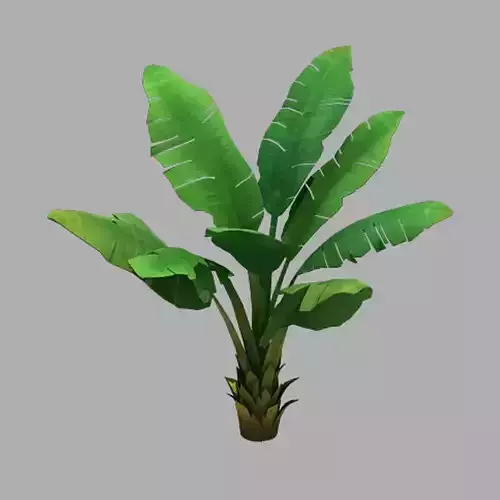 Plant - Plantain Tree 067 3D model