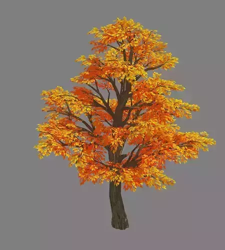 Plant - Birch Tree 09