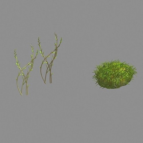 Plants - Brushwood 03 3D model