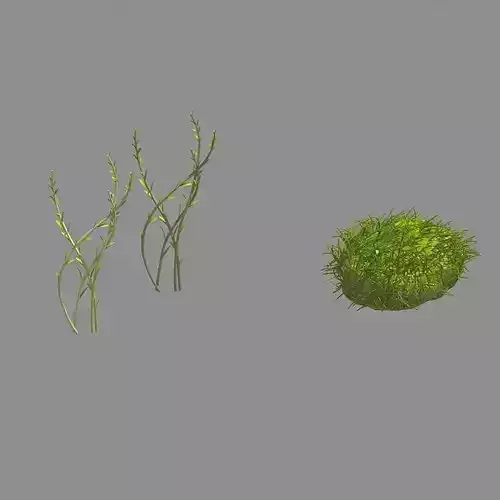 Plants - Brushwood 03 3D model