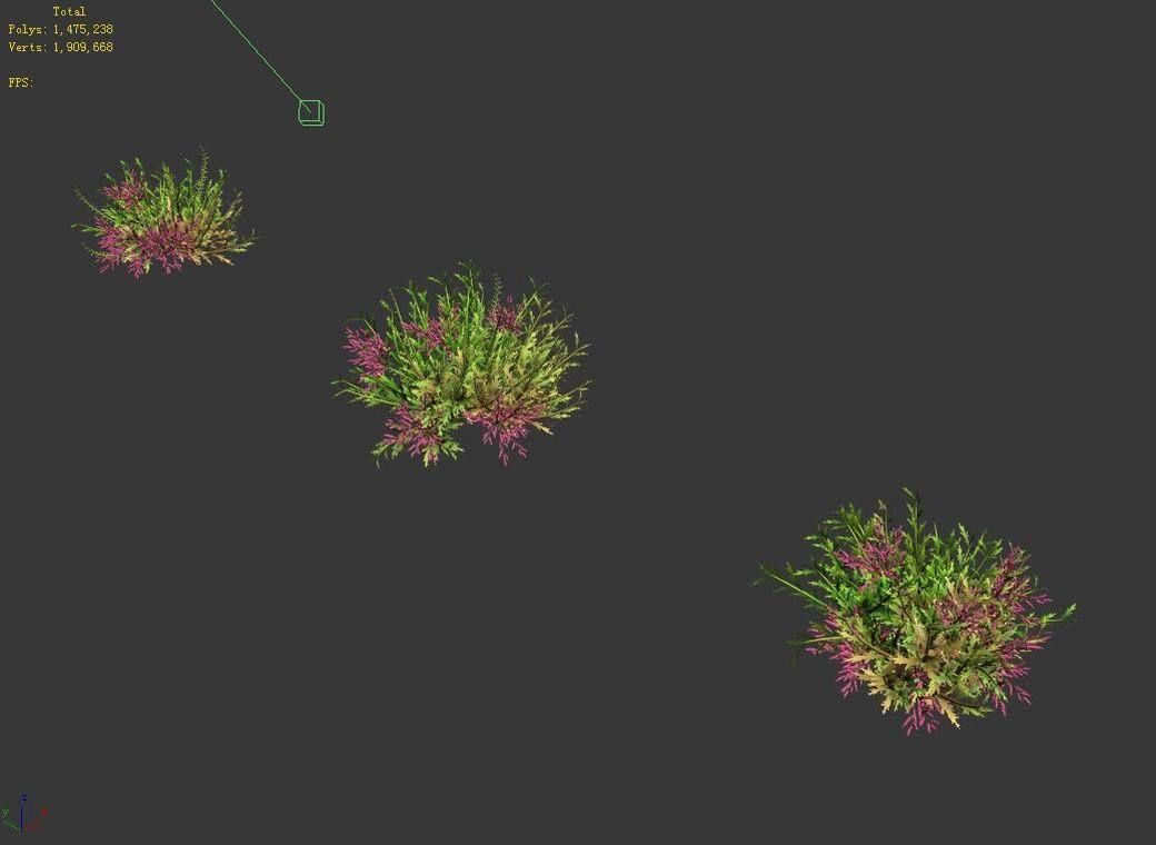 Plant - Tamarix 02 3D model_4