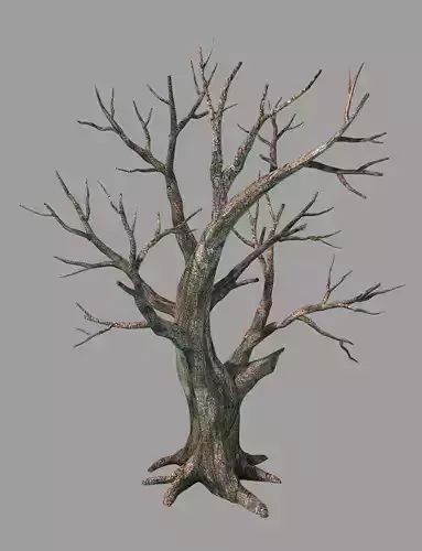 Plants - Deciduous 68 3D model