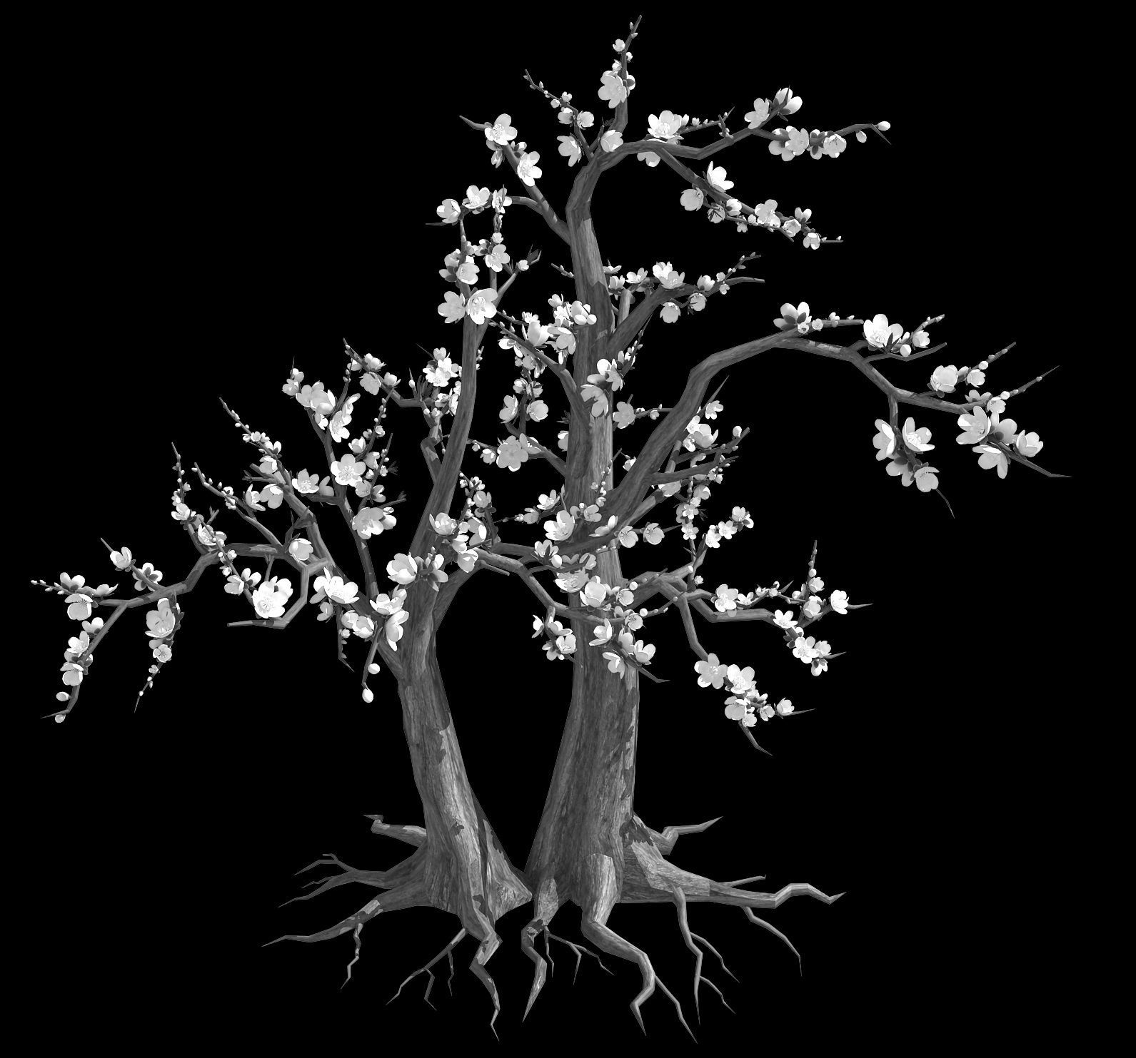 Plant - Tree 23 3D model_3