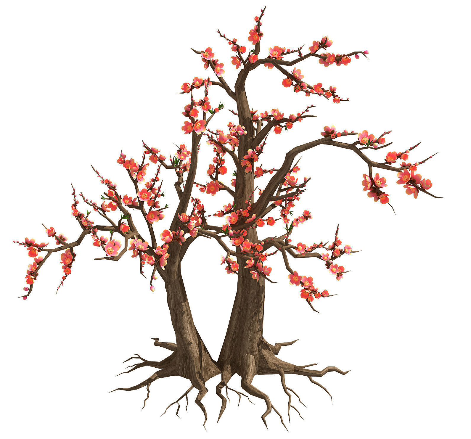Plant - Tree 23 3D model_2