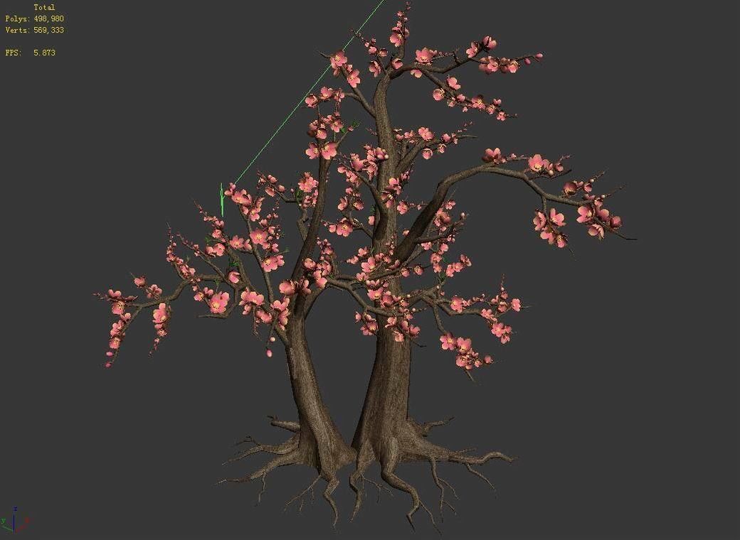 Plant - Tree 23 3D model_5
