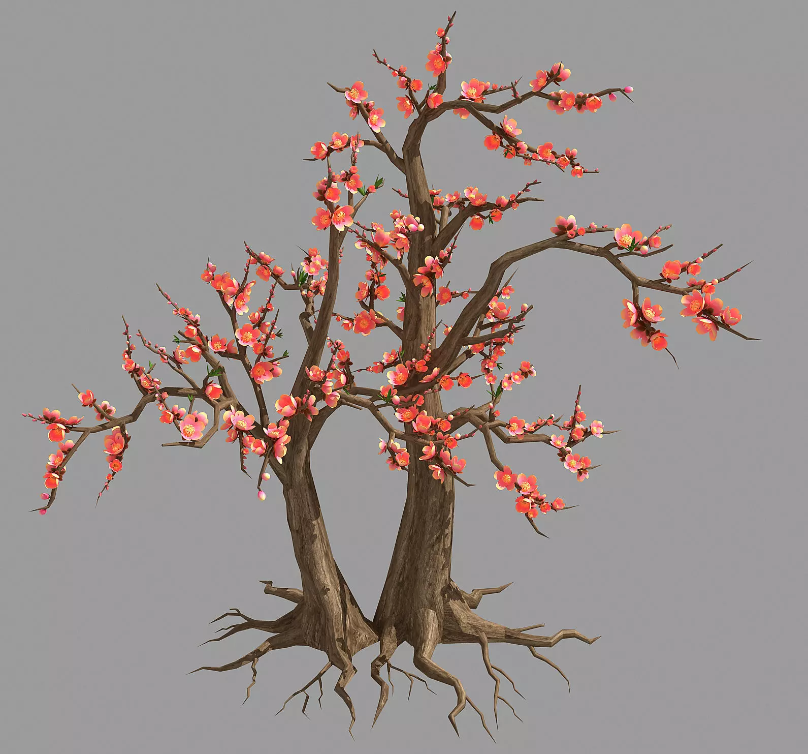 Plant - Tree 23 3D model_0