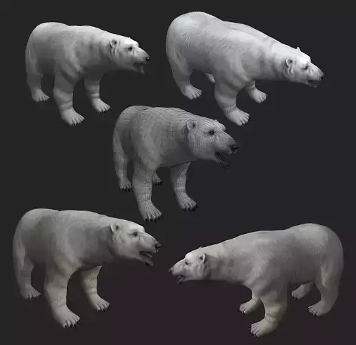 Next Gen AAA Polar Bear - high quality lowpoly game ready Low-poly 3D model