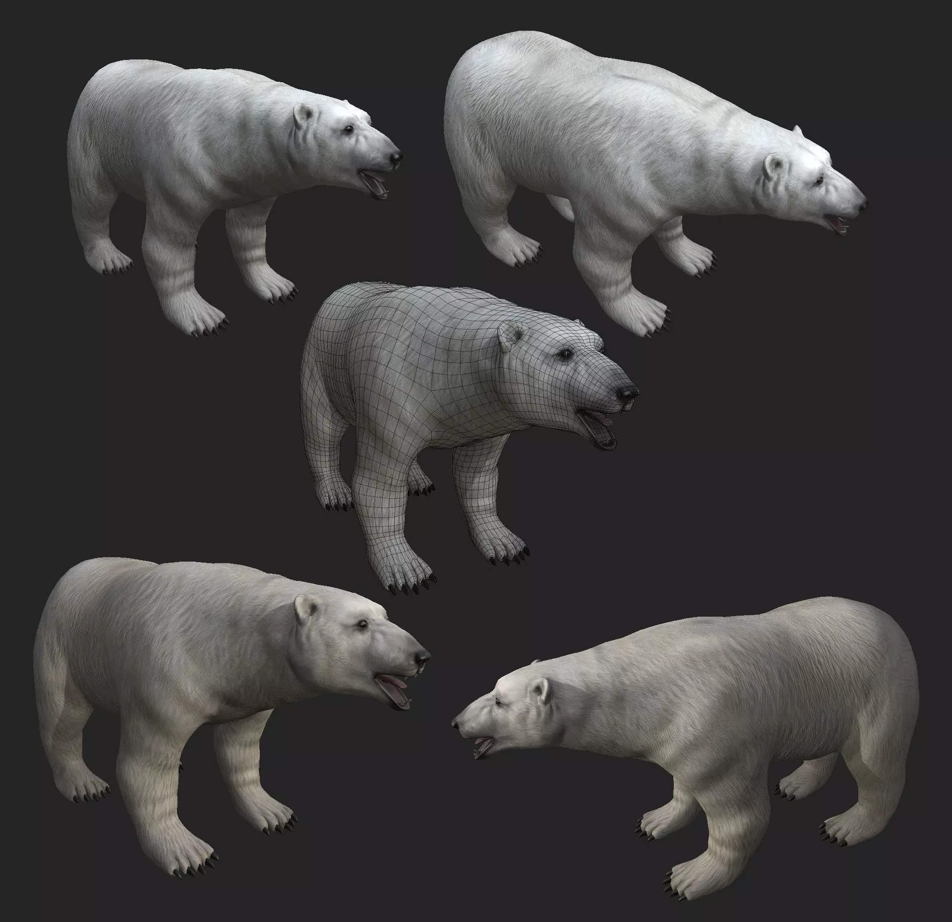Next Gen AAA Polar Bear - high quality lowpoly game ready Low-poly 3D model_0