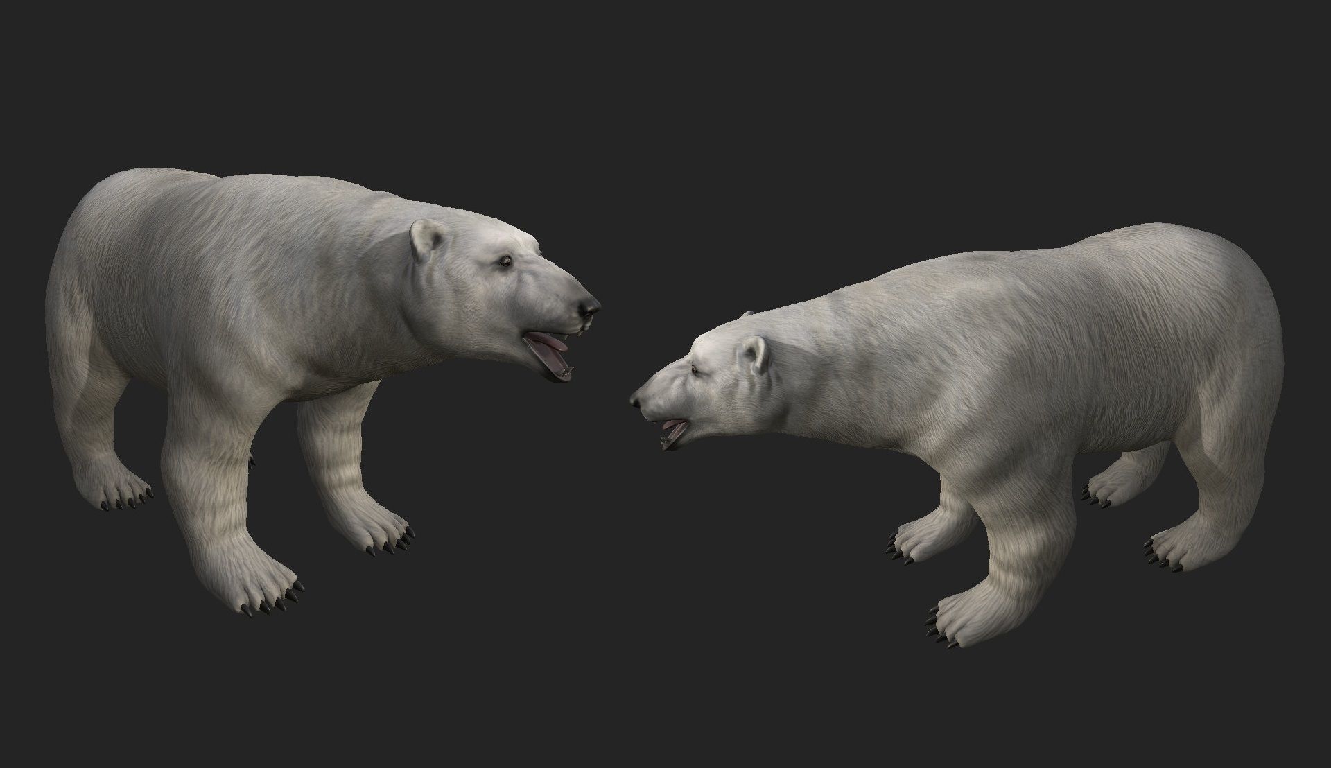 Next Gen AAA Polar Bear - high quality lowpoly game ready Low-poly 3D model_2