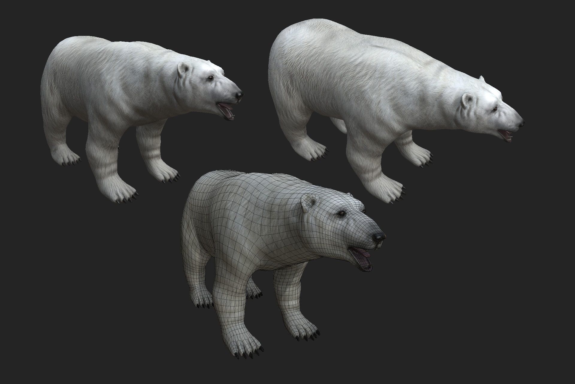 Next Gen AAA Polar Bear - high quality lowpoly game ready Low-poly 3D model_3