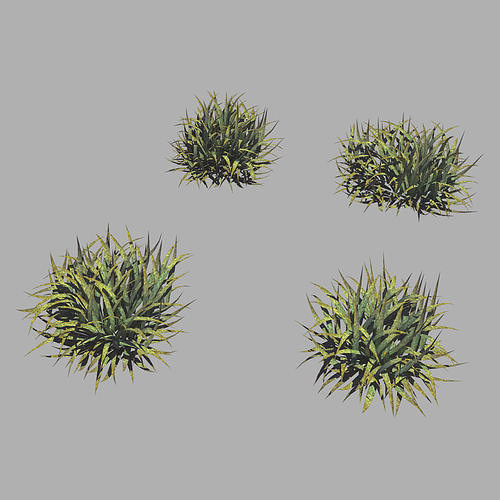 Plants - Weeds 65 3D model