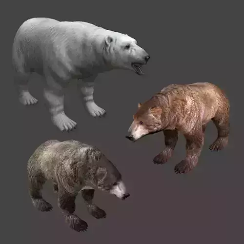 Next Gen AAA 3 BEARS Pack - polar brown black lowpoly 3D Model Collection