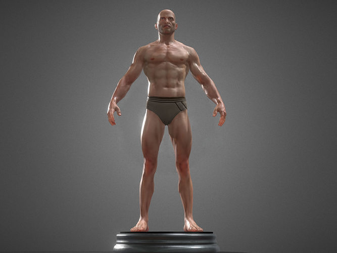 human anatomy  3D model