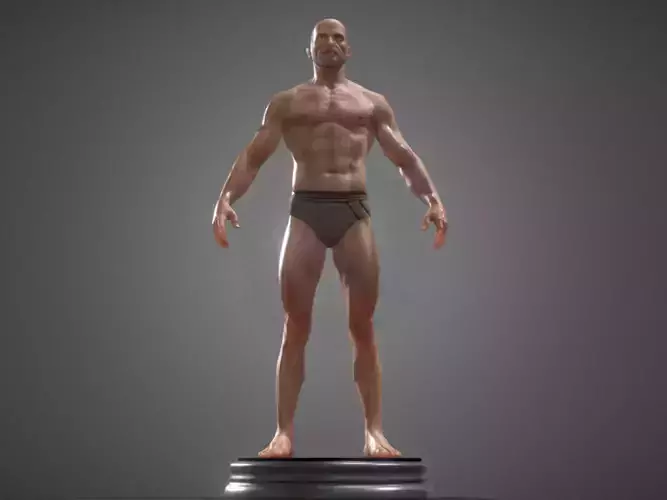 human anatomy  3D model