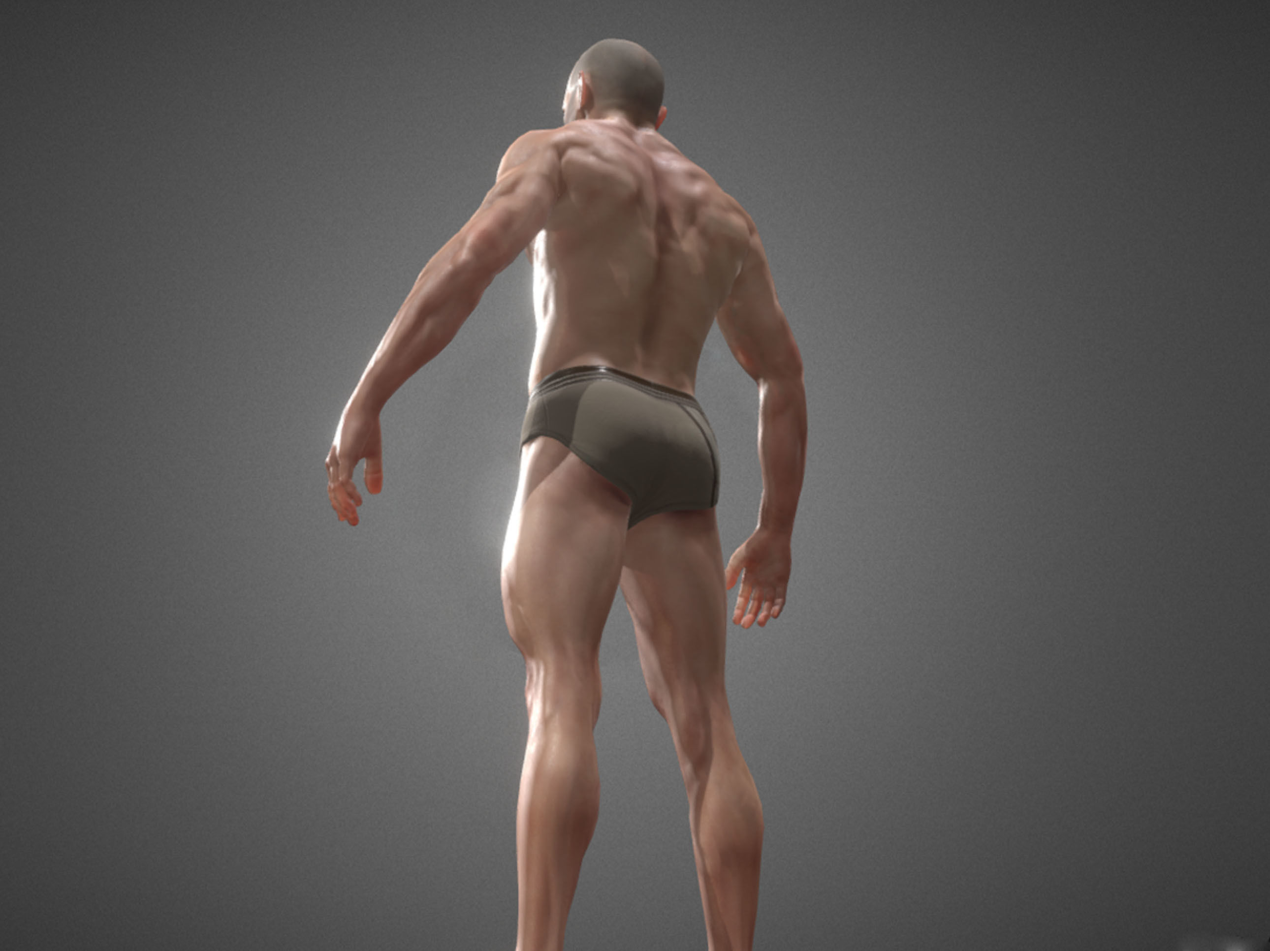 human anatomy  3D model_2