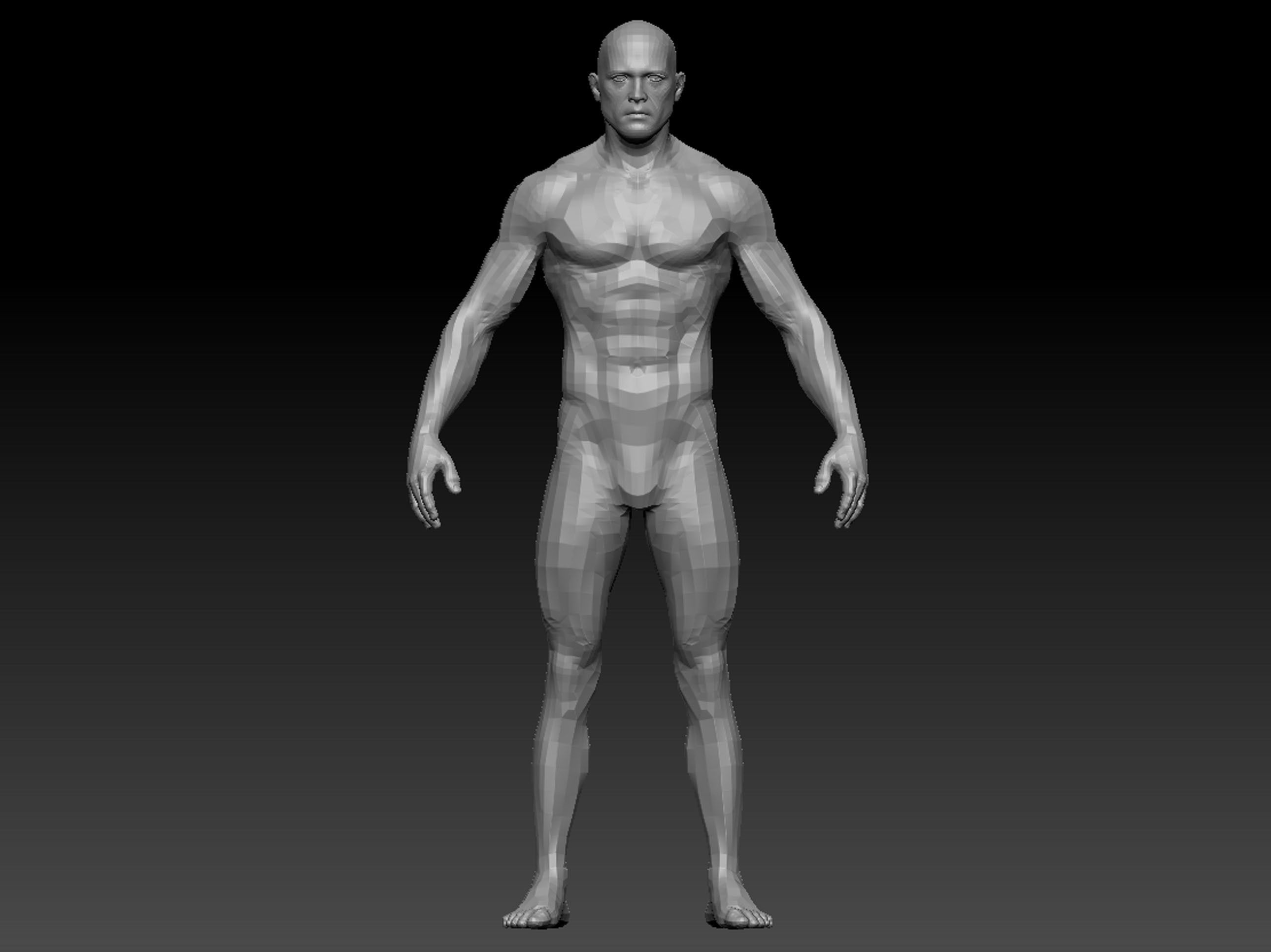 human anatomy  3D model_4