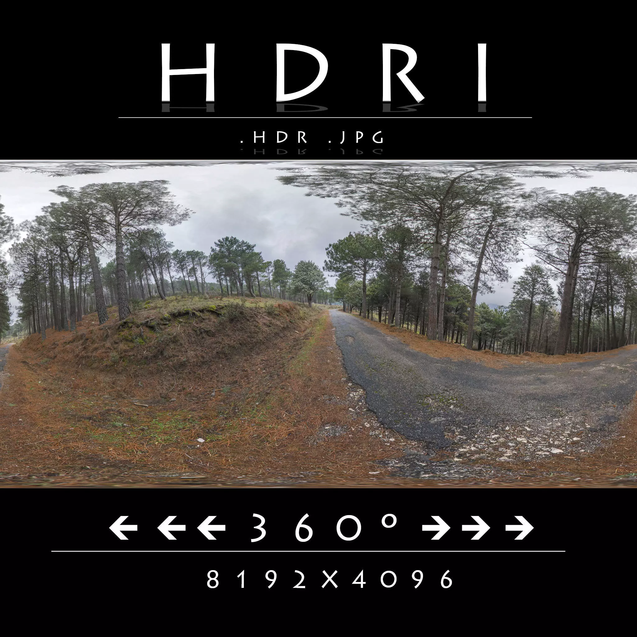 HDRI Road in Forest Cloudy Morning 3D model