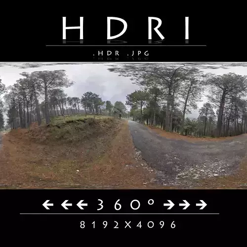 HDRI Road in Forest Cloudy Morning 3D model