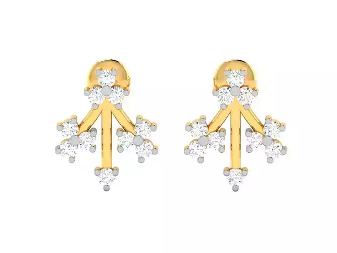 Women earrings 3dm render detail