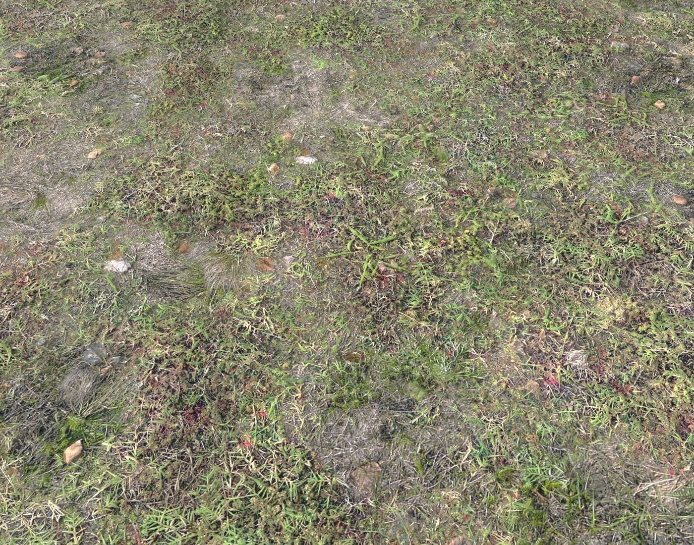 Forest ground Pack PBR 1 Texture_8