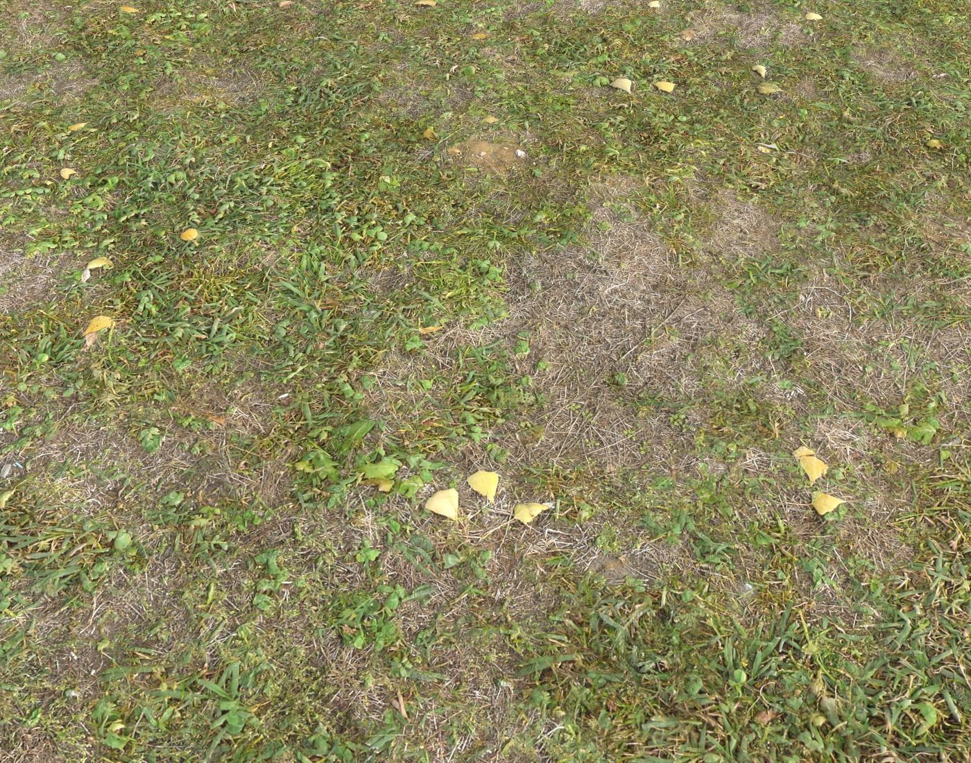 Forest ground Pack PBR 1 Texture_17