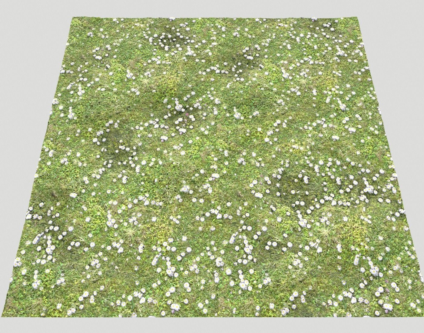Forest ground Pack PBR 1 Texture_22