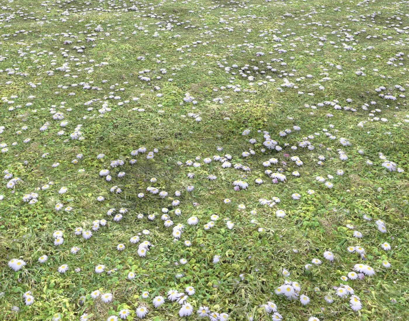 Forest ground Pack PBR 1 Texture_11