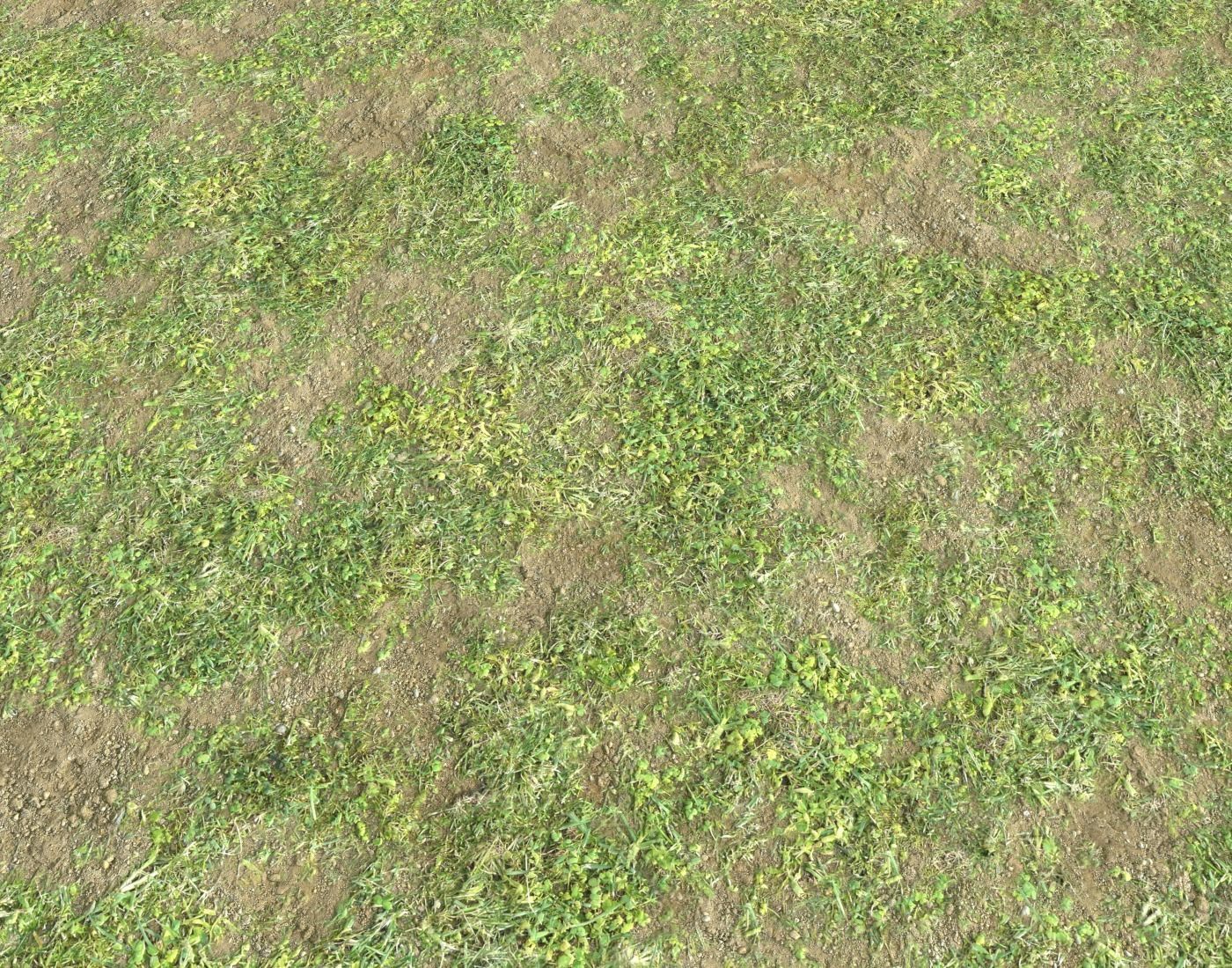 Forest ground Pack PBR 1 Texture_14
