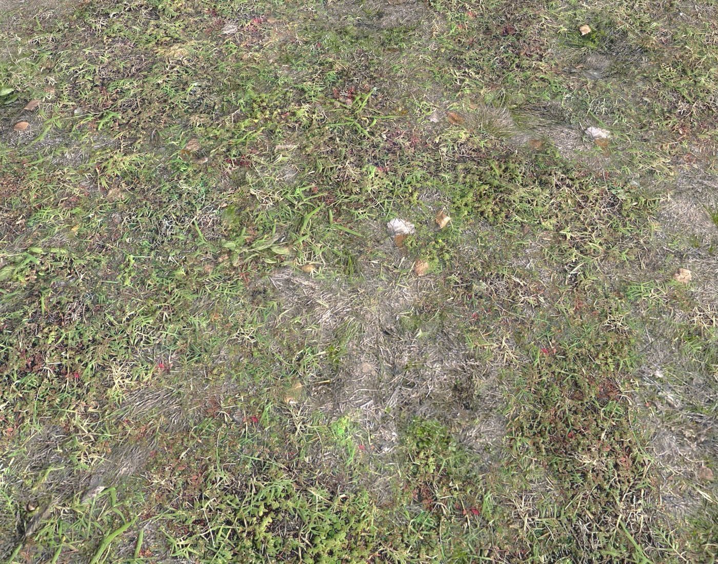 Forest ground Pack PBR 1 Texture_6