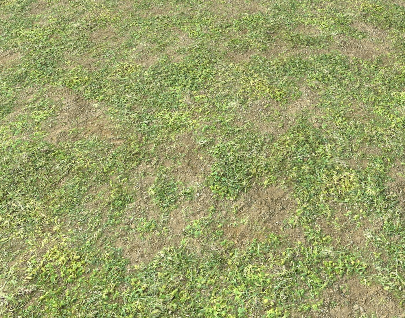 Forest ground Pack PBR 1 Texture_16