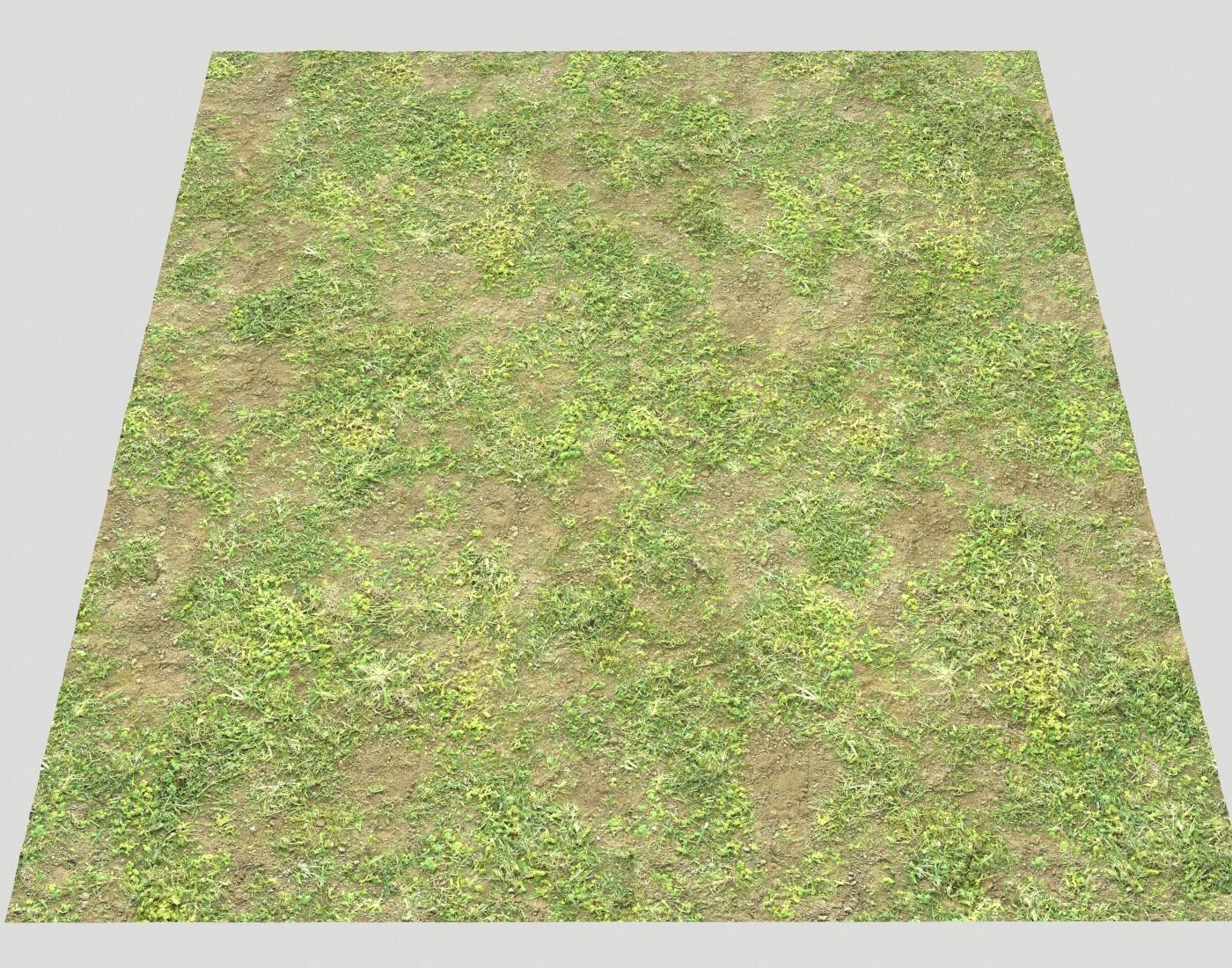 Forest ground Pack PBR 1 Texture_23