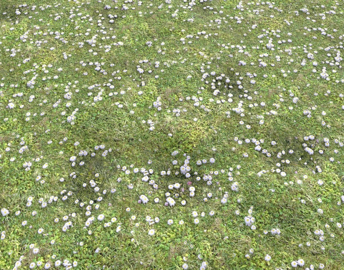 Forest ground Pack PBR 1 Texture_9