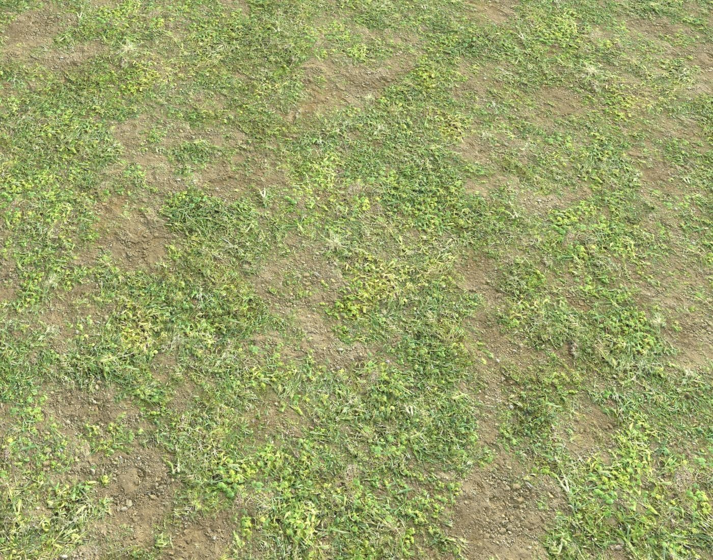 Forest ground Pack PBR 1 Texture_13