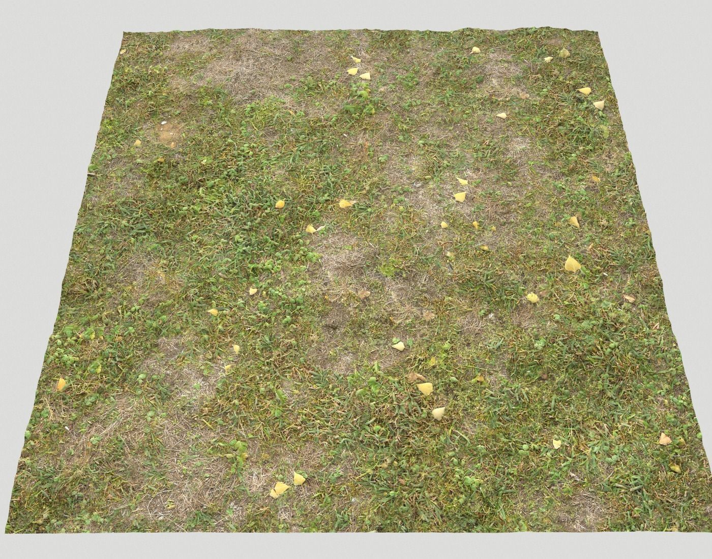Forest ground Pack PBR 1 Texture_24