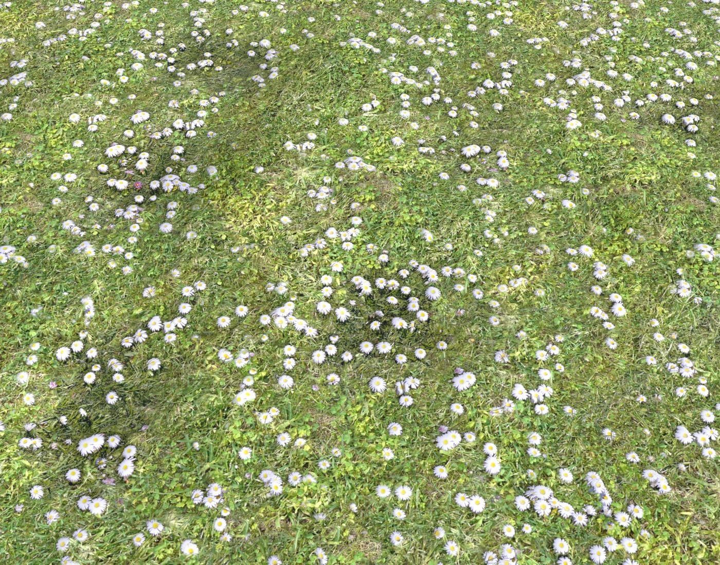Forest ground Pack PBR 1 Texture_10