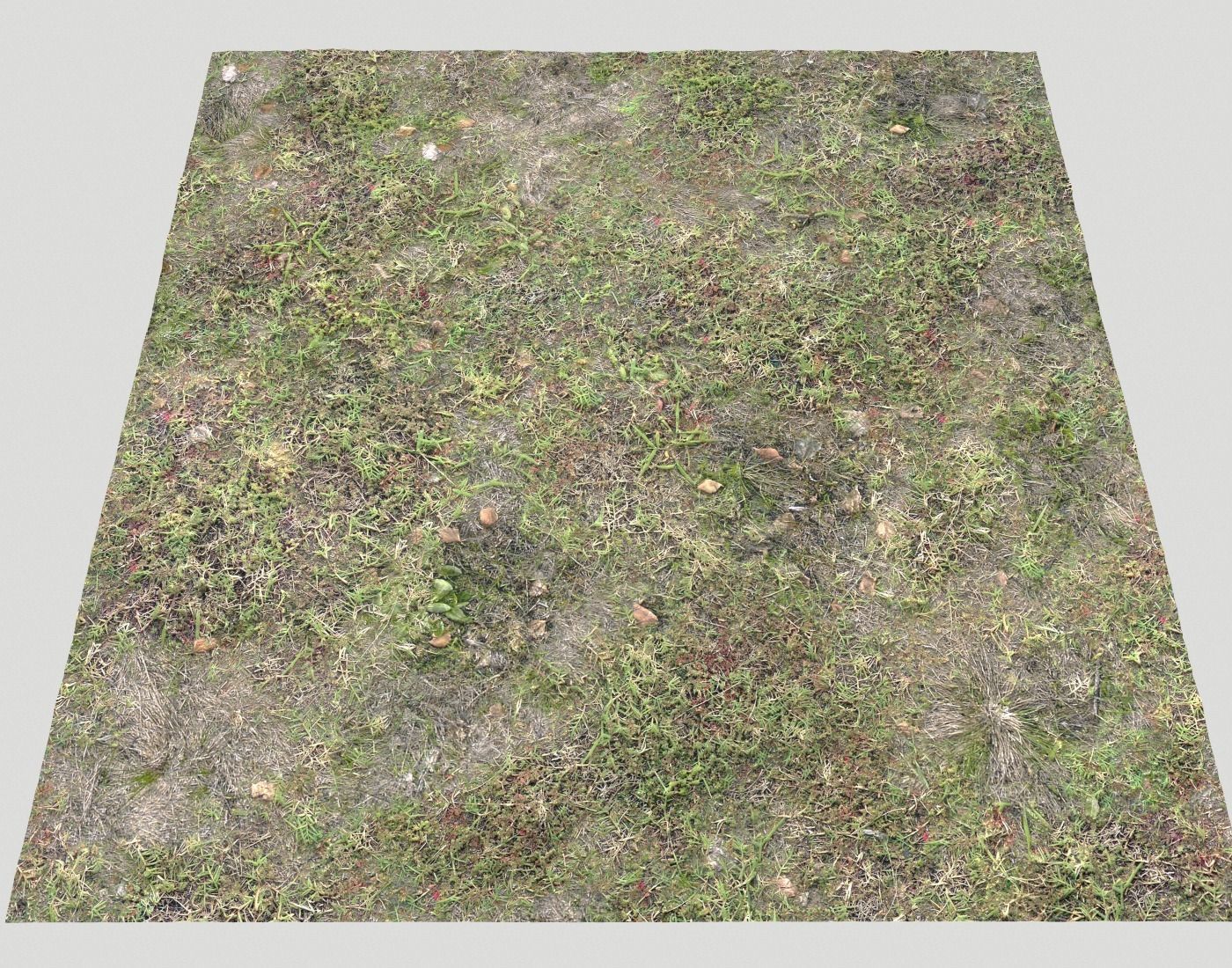Forest ground Pack PBR 1 Texture_21