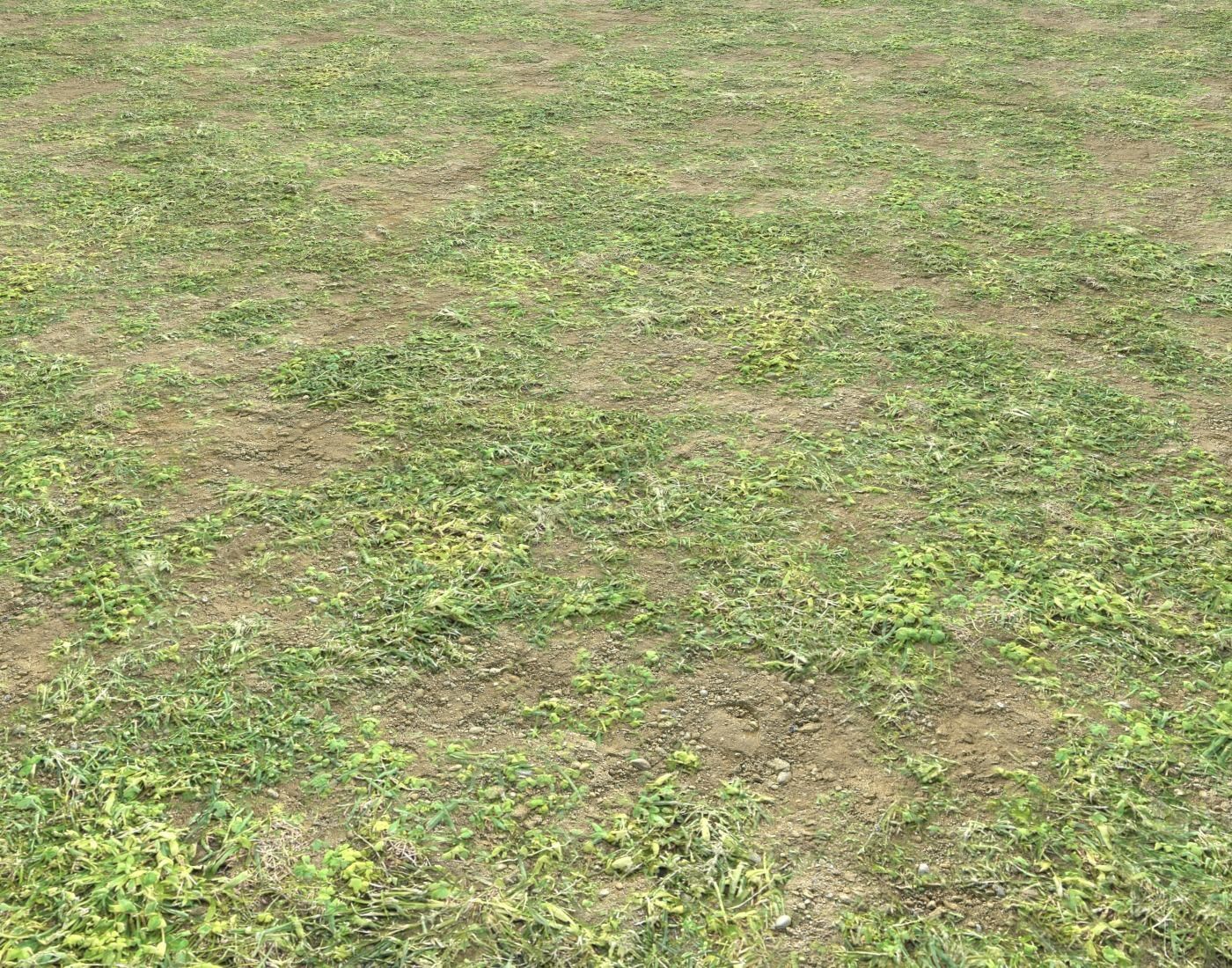 Forest ground Pack PBR 1 Texture_15