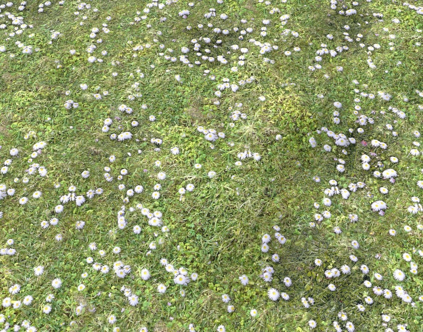 Forest ground Pack PBR 1 Texture_12