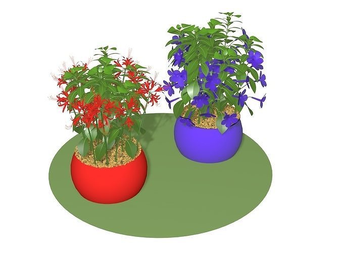 FLOWERS 2 IN 1 3D model